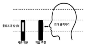 플라즈마 최대 출력거리 예시