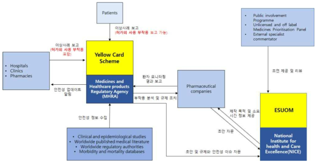 허가외 사용 이상사례 수집 체계