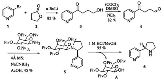 니코틴의 화학적 합성법 2