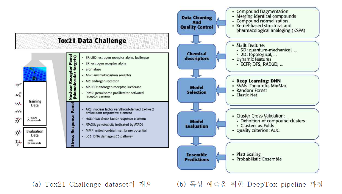 DeepTox 알고리즘에 사용된 데이터 셋과 딥러닝 과정