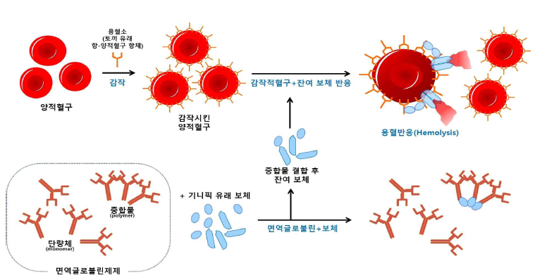 항보체성부정시험 모식도