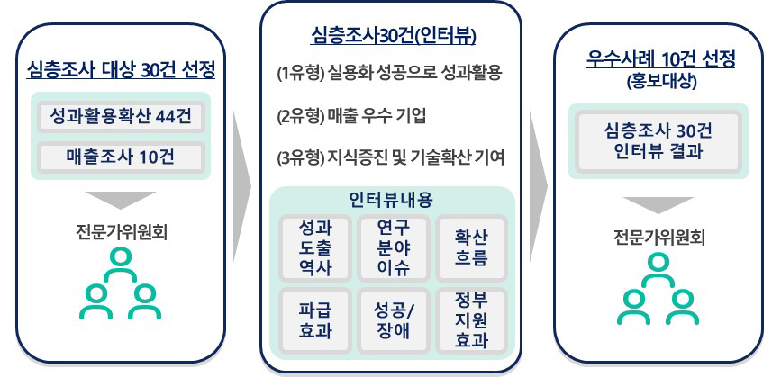 심층조사 추진 내용