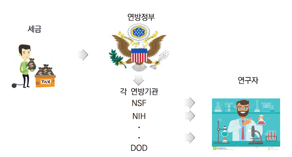 연방 정부의 R&D 배분 과정