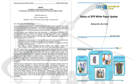 SFR 시스템 PRPP 특성 백서 개정 작업 수행 및 현황 발표