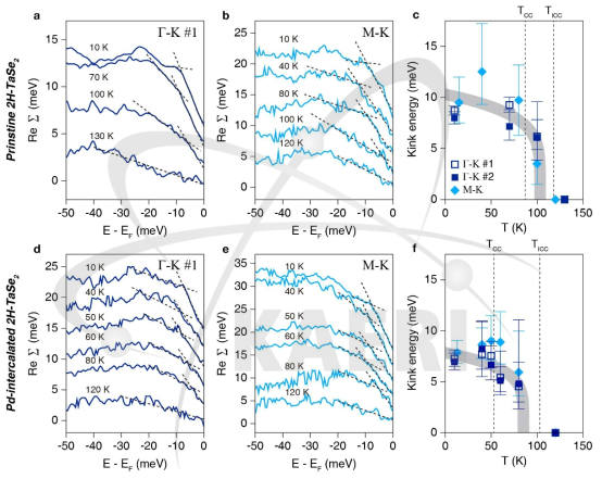 a, b, d, e. TaSe2 (a, b)와 Pd0.06TaSe2 (d, e)의 온도에 따른 self-energy. c, f. 각 시료에서의 온도에 따른 밴드 꺾임 에너지