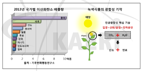 2013년 국가별 이산화탄소 배출량 및 광합성 기작 원리