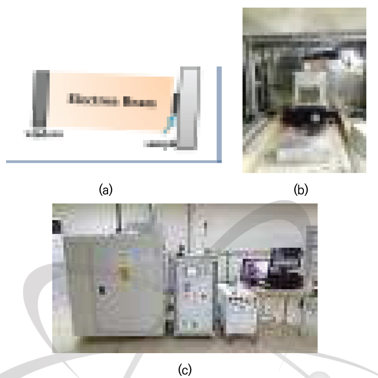 전자빔 시험 개요 (a) 조사 모식도, (b) 전자빔 윈도우, (c) 전자빔 조사장치