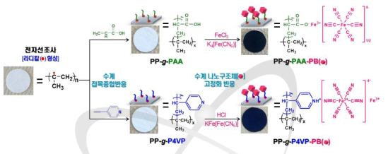전 제조공정을 물을 용매로 사용한 전자선 접목중합과 나노구조체 고정화 반응을 통한 흡착제 제조 모식도
