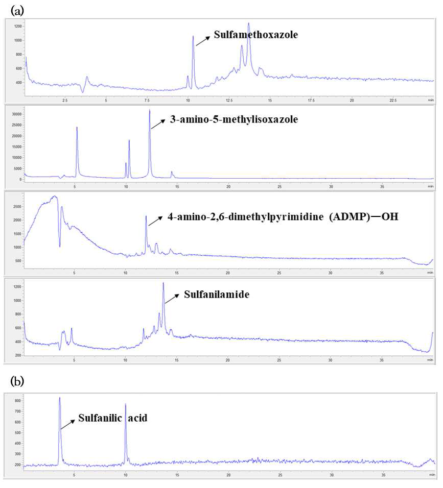 감마선 흡수선량 1kGy에서의 sulfamethoxazole 분해부산물 선택이온크로마토그램 (ESI). ESI(+) mode (a), ESI(-) mode (b)