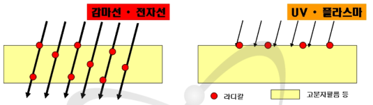 접목중합에서의 방사선 및 UV/플라스마 투과력 및 에너지에 따른 라디칼 생성 비교