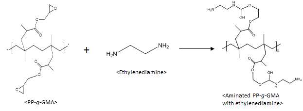 PP-g-PGMA 공중합체의 Ethylenediamine에 의한 아민화