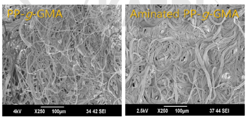 PP-g-PGMA(좌), aminated PP-g-PGMA(우)의 주사전자현미경 사진