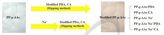 개질된 PP-g-PAA의 샘플 종류