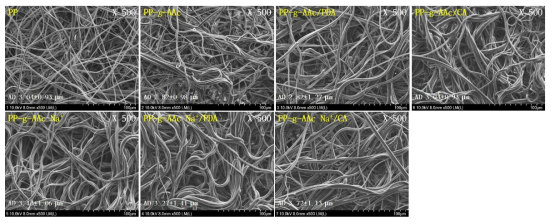 PP 부직포와 PP-g-PAA 소재 및 개질된 PP-g-PAA 소재들의 SEM 이미지