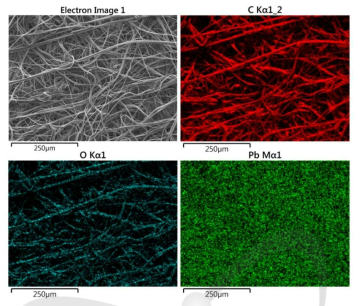 납이온(Pb2+) 흡착 실험 이후 PP-g-AAc 소재의 EDS 맵핑 이미지
