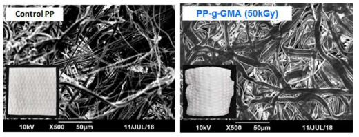 순수한 PP 및 수계 방사선 접목중합 된 PP-g-GMA 의 SEM 이미지