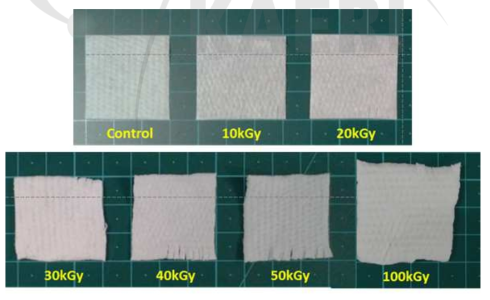 조사량의 증가에 따른 수계 방사선 접목중합 된 PP 부직포의 규격 변화 사진