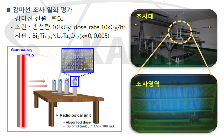 감마선 조사 특성 평가 모식도(좌) 및 조사대/조사영역 실물사진(우)