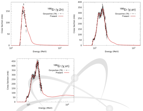 Er-166의 광핵반응 계산결과와 측정데이터의 비교