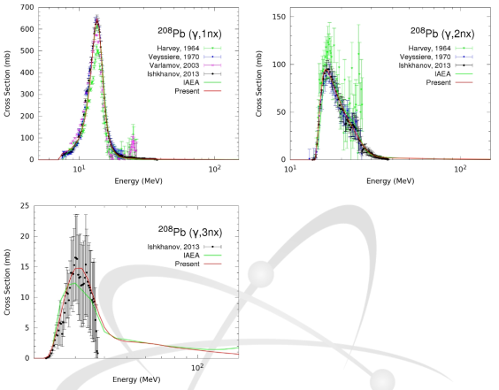 Pb-208의 광핵반응 계산결과와 측정데이터의 비교