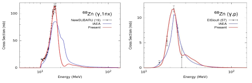 Zn-68의 광핵반응 계산결과와 측정데이터의 비교