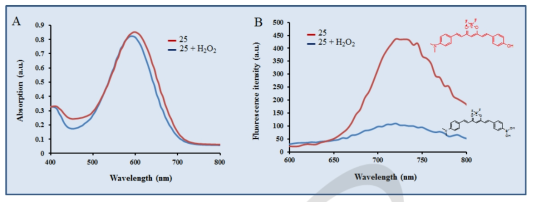 H2O2와 반응한 프로브의 빛의 흡수 및 방출 스펙트럼