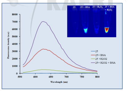 H2O2와 단백질과 반응 후 진단제의 빛의 방출 스펙트럼 분석
