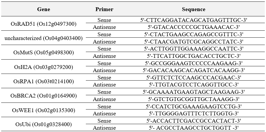 벼 DDR 유전자의 qRT-PCR에 사용된 primer 서열. 괄호는 각 유전자의 Rice Annotation Project Database(RAPdb) 번호임
