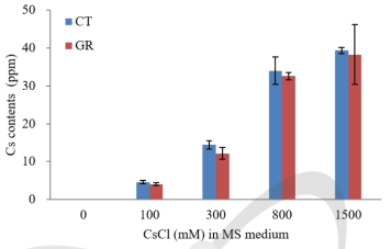 애기장대 식물체의 대조구(CT)와 감마선 조사구(GR)에서 Cs 흡수율
