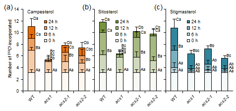 [13C]-Ethanol 처리 시간에 따른 acs 돌연변이체들의 식물스테롤로 삽입되는 [13C]의 정량 분석. (a) Campesterol (b) Sitosterol (c) Stigmasterol