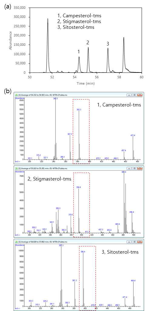 GC-MS 기법을 이용한 식물스테롤 분석. (a) 식물스테롤의 chromatogram 분석. (b) 식물스테롤의 mass spectrum 분석. 대조군(0h)의 식물스테롤을 분석하였음