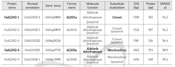 벼 식물체에 존재하는 Aldehyde dehydrogenase (ALDH) family 2의 유전자군