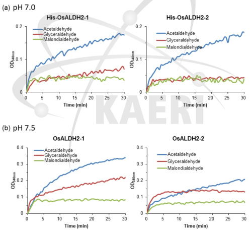 OsALDH2-1 및 OsALDH2-2 재조합 효소의 pH7.0(a)과 pH7.5(b)에서의 시간에 따른 ALDH 활성 능력 분석 결과