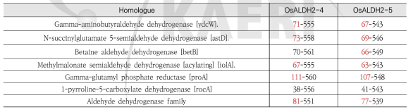 OsALDH2-4 및 OsALDH2-5 단백질의 도메인(domain) 분석 결과