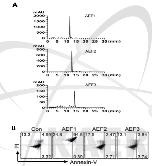 방사선 조사된 알로에 에모딘의 분리정제 및 정제된 물질이 AGS 세포의 apoptosis에 미치는 영향