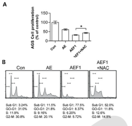 AGS세포에서 AEF1의 ROS 과생성을 통한 apoptosis 유도효과
