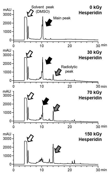 HPLC를 이용한 방사선 조사 헤스페리딘의 구조변화 분석