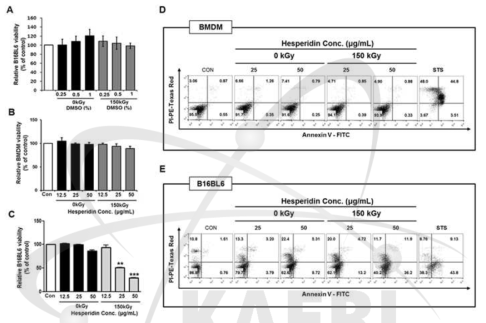 방사선 조사된 헤스페리딘의 BMDM과 B16BL6 흑색종세포에서 세포독성에 미치는 영향