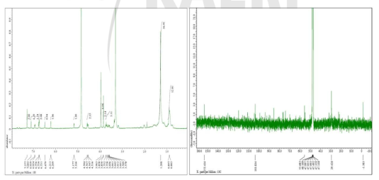 단일 분리된 CG12의 H-NMR (좌) 및 C-NMR (우) 분석 결과