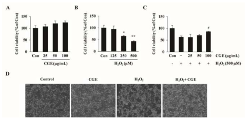 NIH-3T3세포에서 CGE가 H2O2 유도 세포손상에 미치는 영향