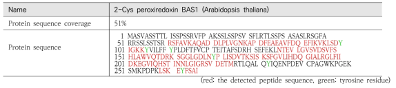 LC-MS/MS로 검출된 AtPrxA의 아미노산 서열 및 tyrosine을 포함한 아미노산 서열