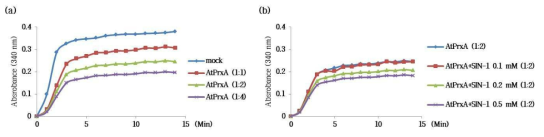 AtPrxA 단백질의 molecular chaperone 활성 분석