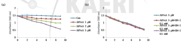 AtPrxA 단백질의 peroxidase 활성 분석