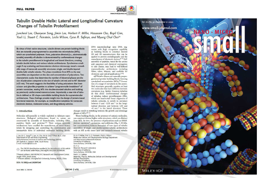 “Tubulin Double Helix: Lateral and Longitudinal Curvature Changes of Tubulin Protofilament”Small (2020): 표지논문 선정