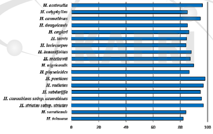 무궁화 속 내 종들에서 100개 EST-SSR 마커들의 cross-species transferability를 나타낸 그래프