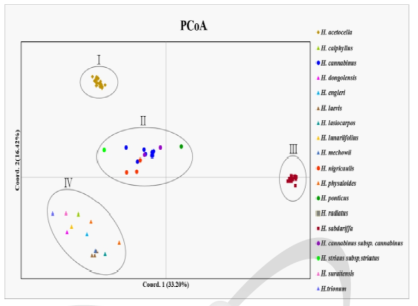 100개의 EST-SSR 마커 정보에 기반한 무궁화 속 18개 종에 대한 Principal Coordinate Analysis(PCoA) 결과를 나타낸 그림