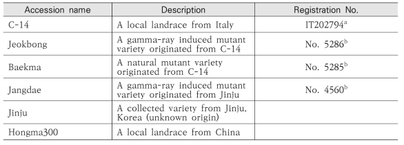 본 연구의 RNA sequencing에 활용된 여섯 개의 kenaf 계통의 accession
