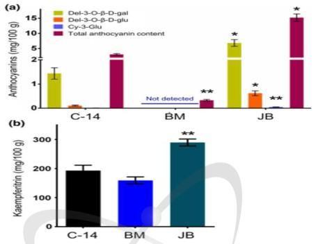케나프 accession C-14, 백마(BM), 적봉(JB)에 대한 플라보노이드 함량을 나타낸 그래프이며, (A)는 캠프페리트린, (B)는 안토시아닌 레벨임