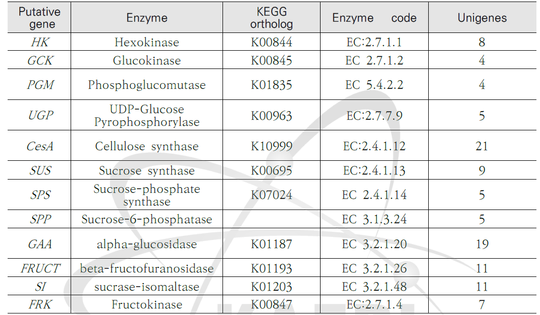 케나프 unigene 내 셀룰로오스 생합성 경로를 구성하는 후보 유전자의 목록