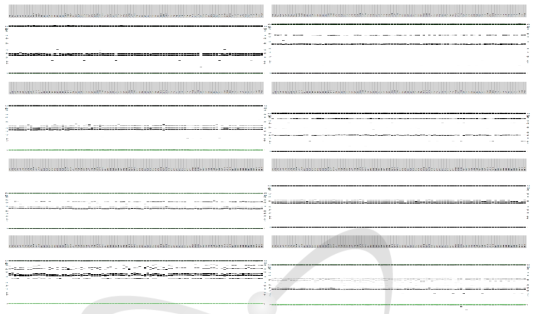 Caliper System을 활용하여 획득한 EST-SSR 마커들의 패턴